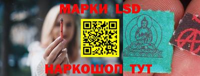 прущие грибы Ирбит