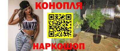 прущие грибы Ирбит