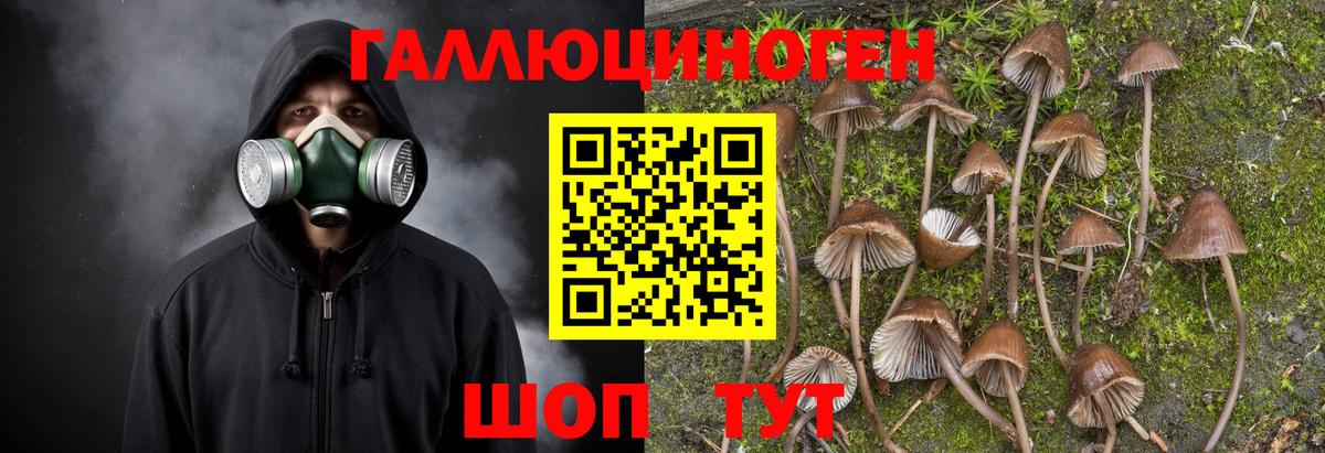 Валуйки  Галлюциногенные грибы Psilocybe  Вход с VPN 
