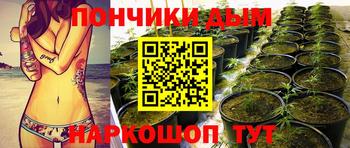 Бошки марихуана AK-47 Валуйки